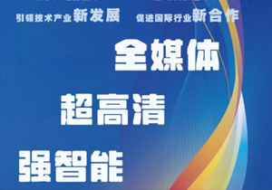 ȫýw   BIRTV2025 cs